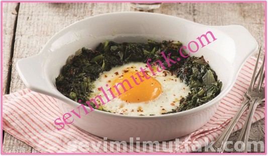 Ispanaklı Yumurta Nasıl Yapılır? Ispanaklı Yumurta Nasıl Yapılır?